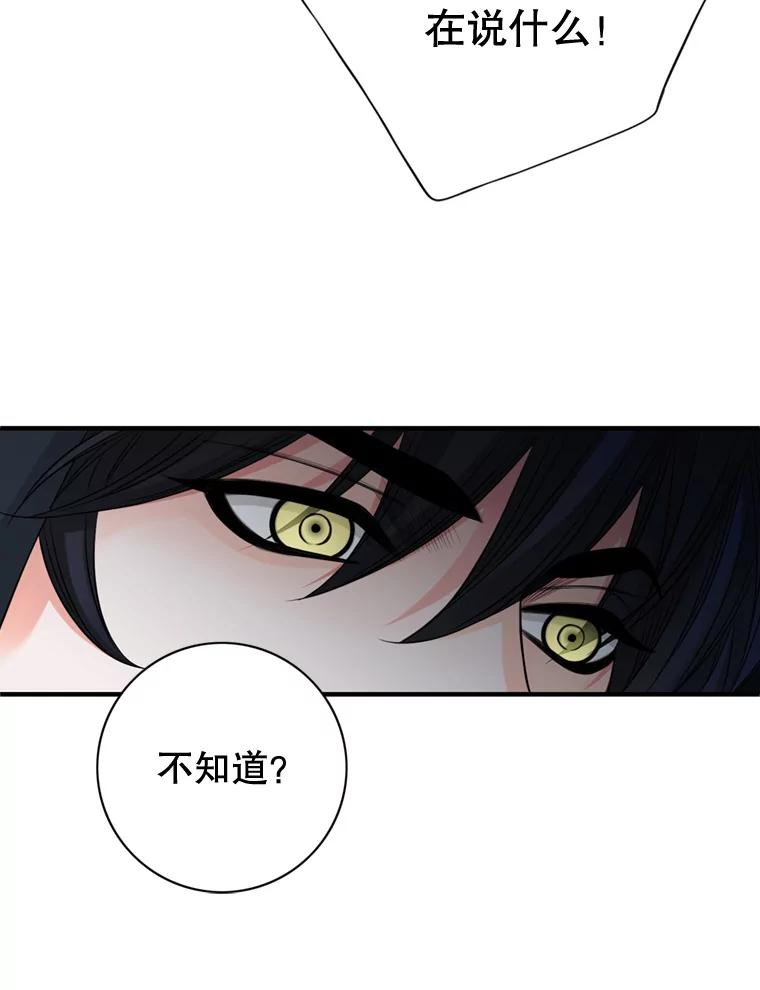 《第8位契约新娘》45.美人计 第53页