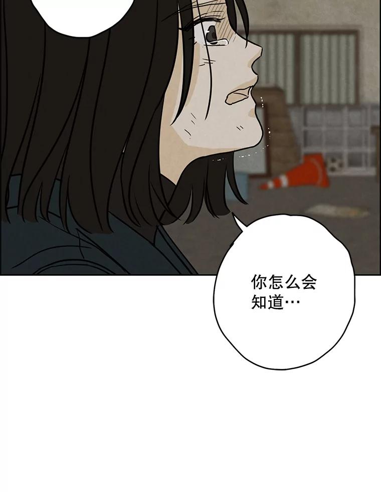 《消失的新郎》57.退而求其次 第86页