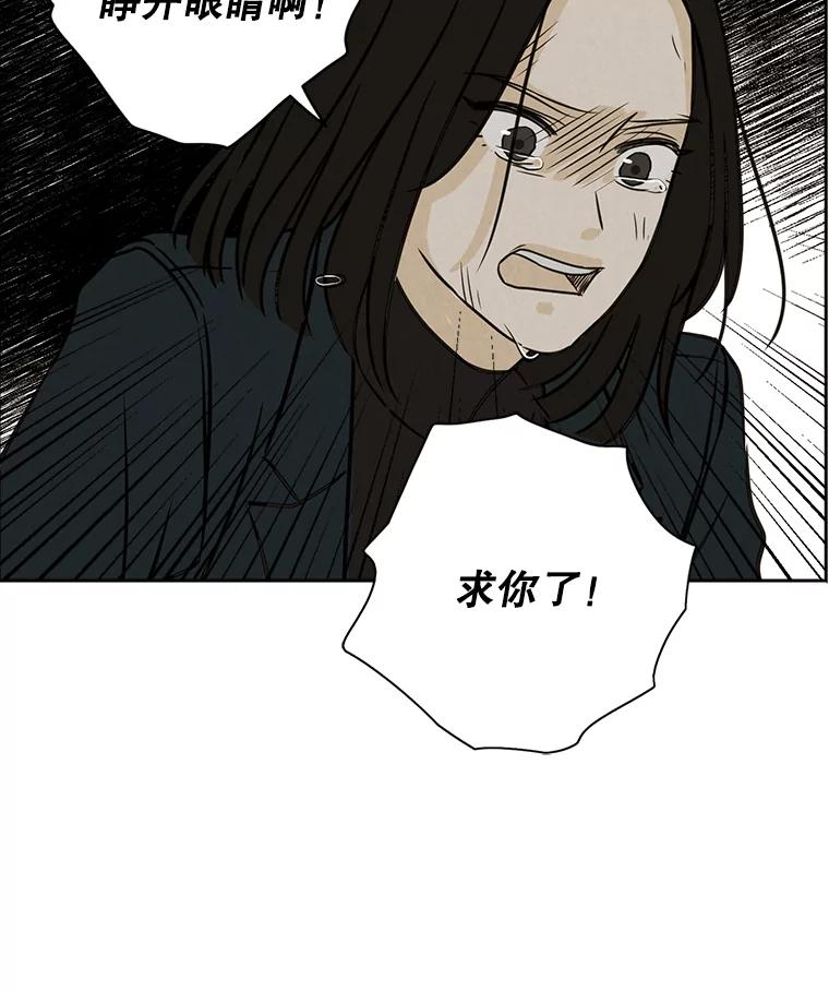 《消失的新郎》57.退而求其次 第52页