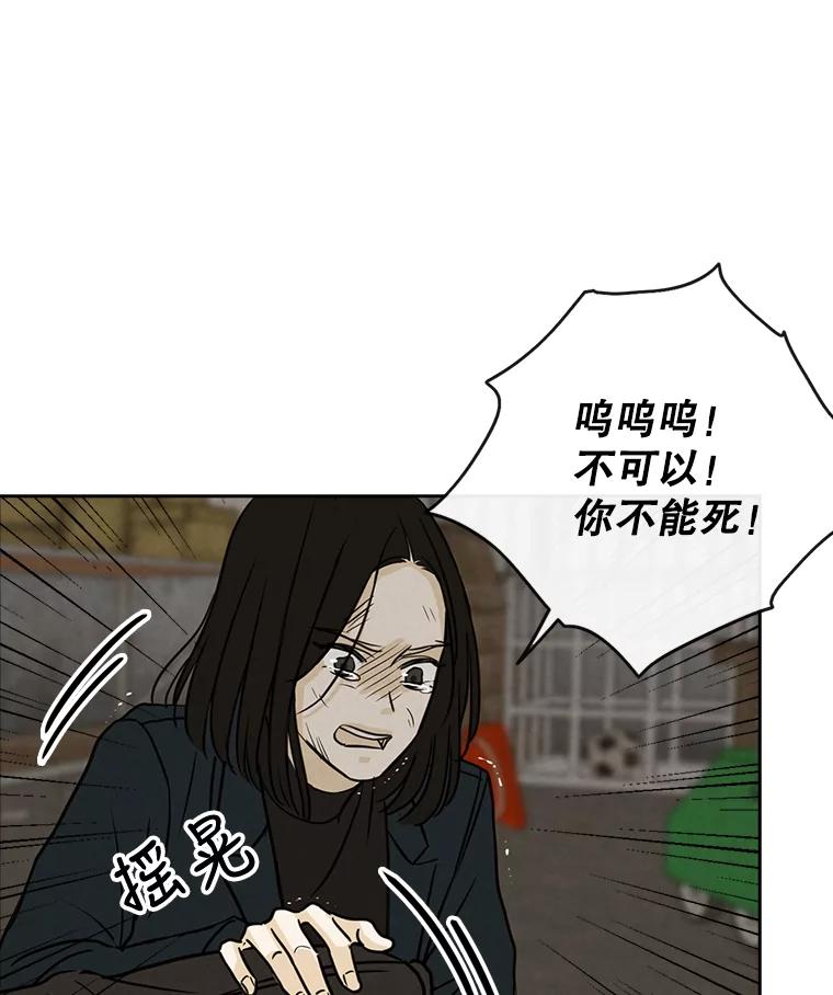 《消失的新郎》57.退而求其次 第50页
