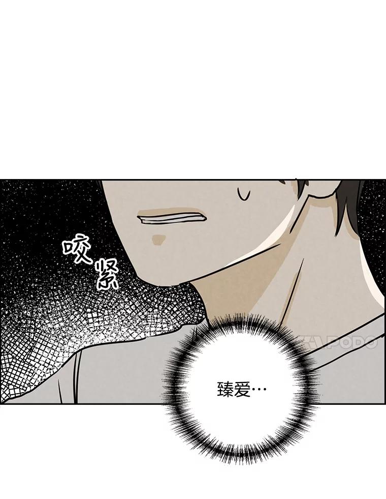 《消失的新郎》59.她的去向 第17页