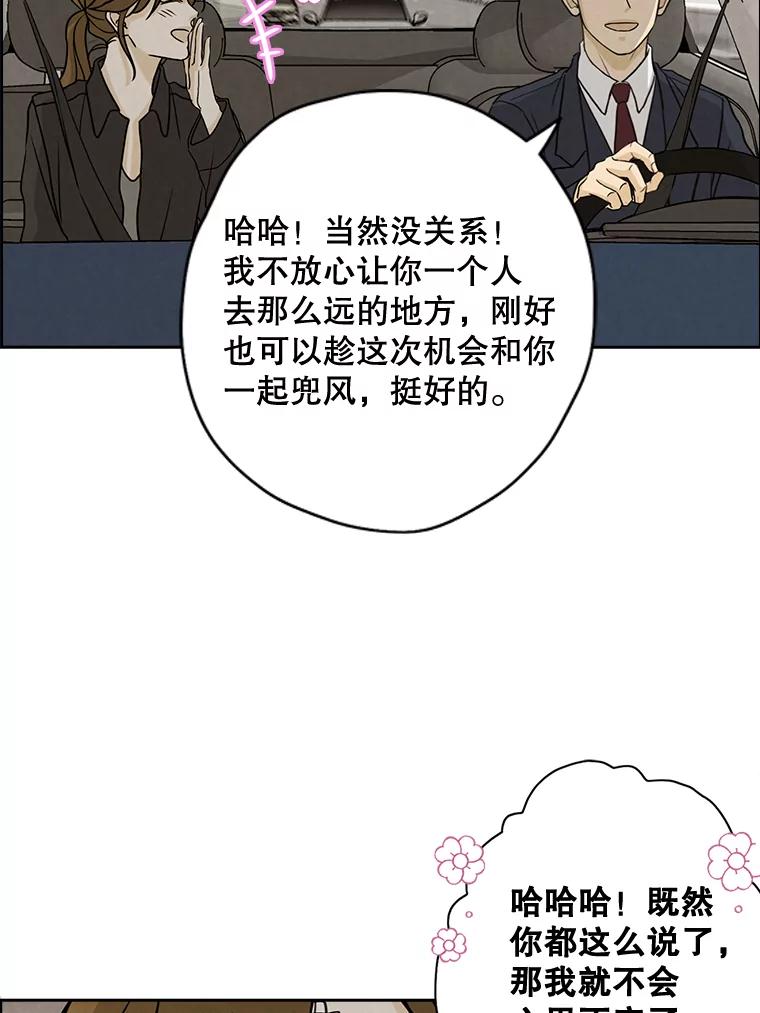 《消失的新郎》59.她的去向 第41页