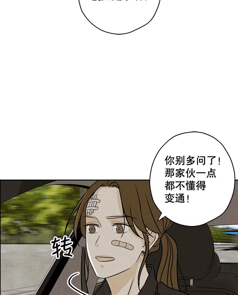 《消失的新郎》59.她的去向 第48页