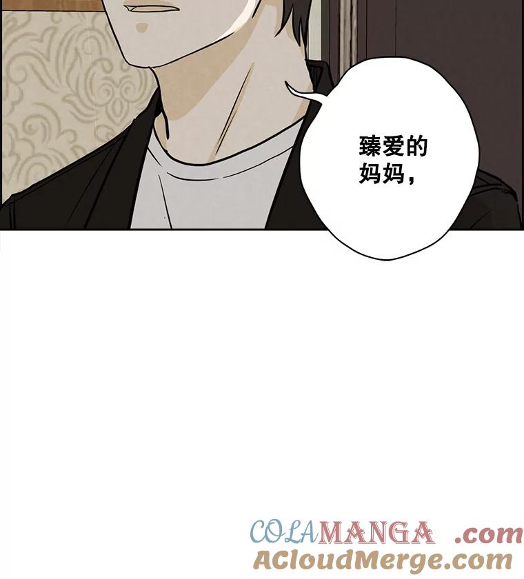 《消失的新郎》60.留在世间的那些人 第101页