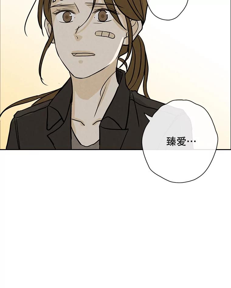 《消失的新郎》60.留在世间的那些人 第72页