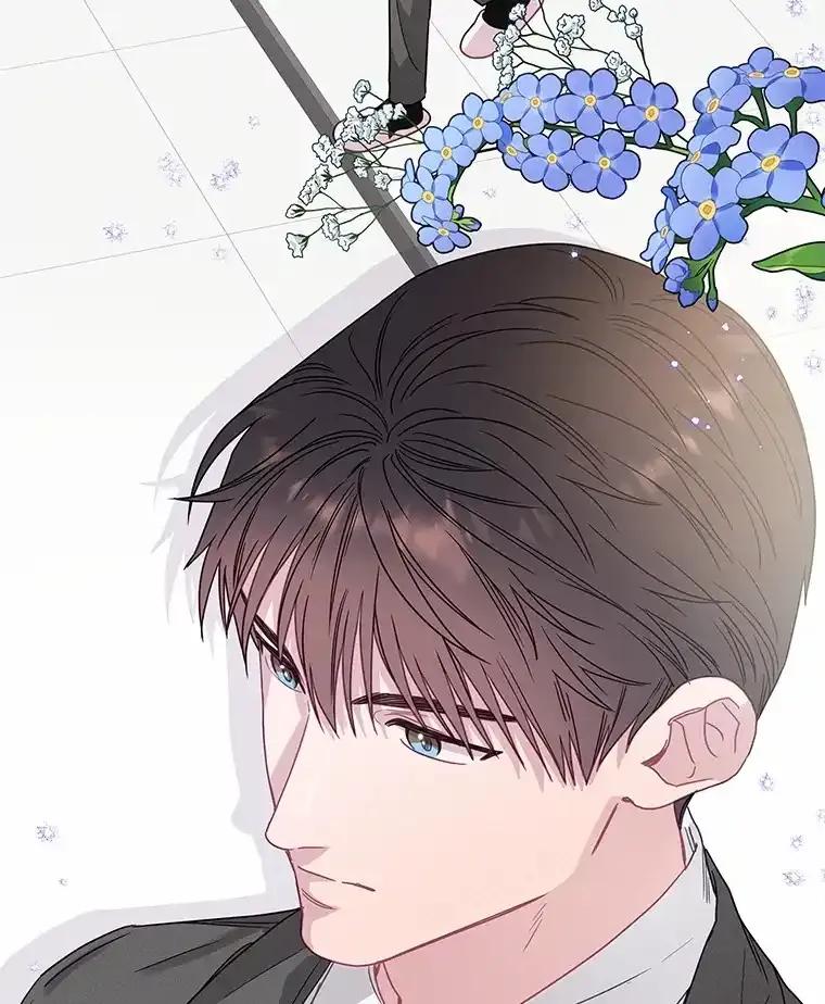 《蒂凡尼的早安吻》78.最好的解药 第7页