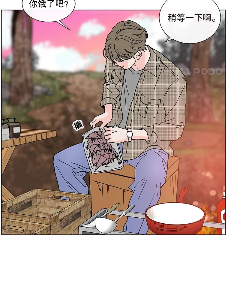 《青春之家》95.治愈系露营 第57页