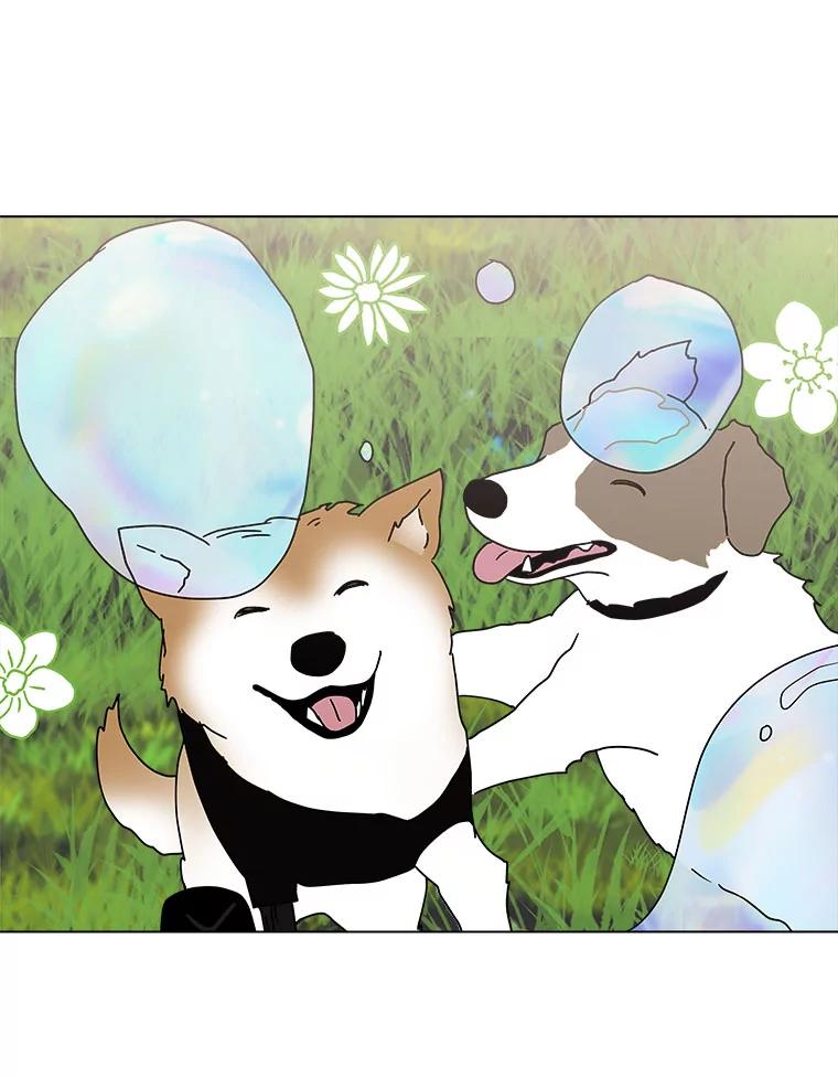 《青春之家》95.治愈系露营 第54页