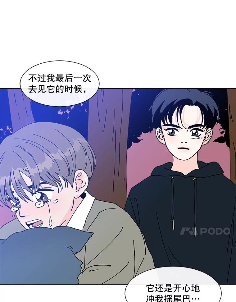 《青春之家》96.治愈系露营2 第38页