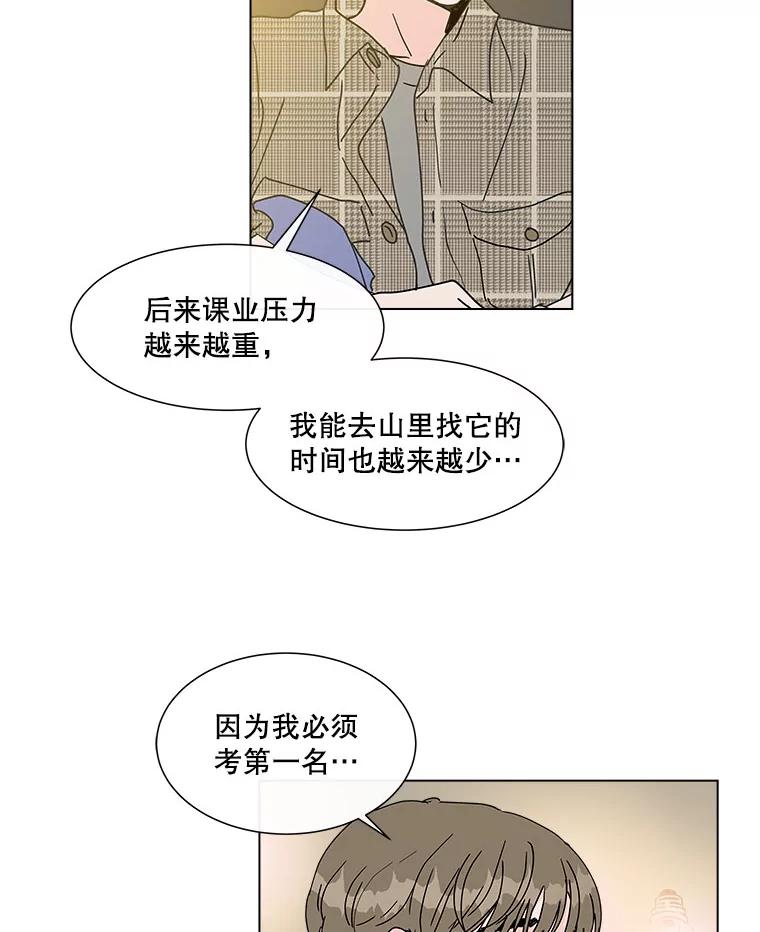 《青春之家》96.治愈系露营2 第30页