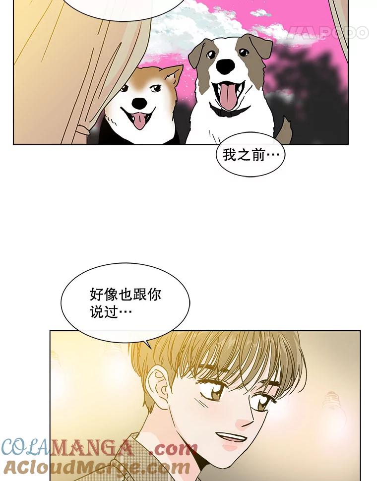 《青春之家》96.治愈系露营2 第25页