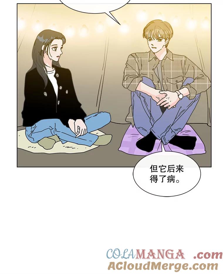 《青春之家》96.治愈系露营2 第34页
