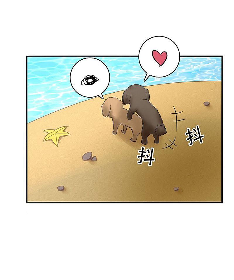 地府我开的 - 第146话 蝎尾针与秘密计划 - 第26张图