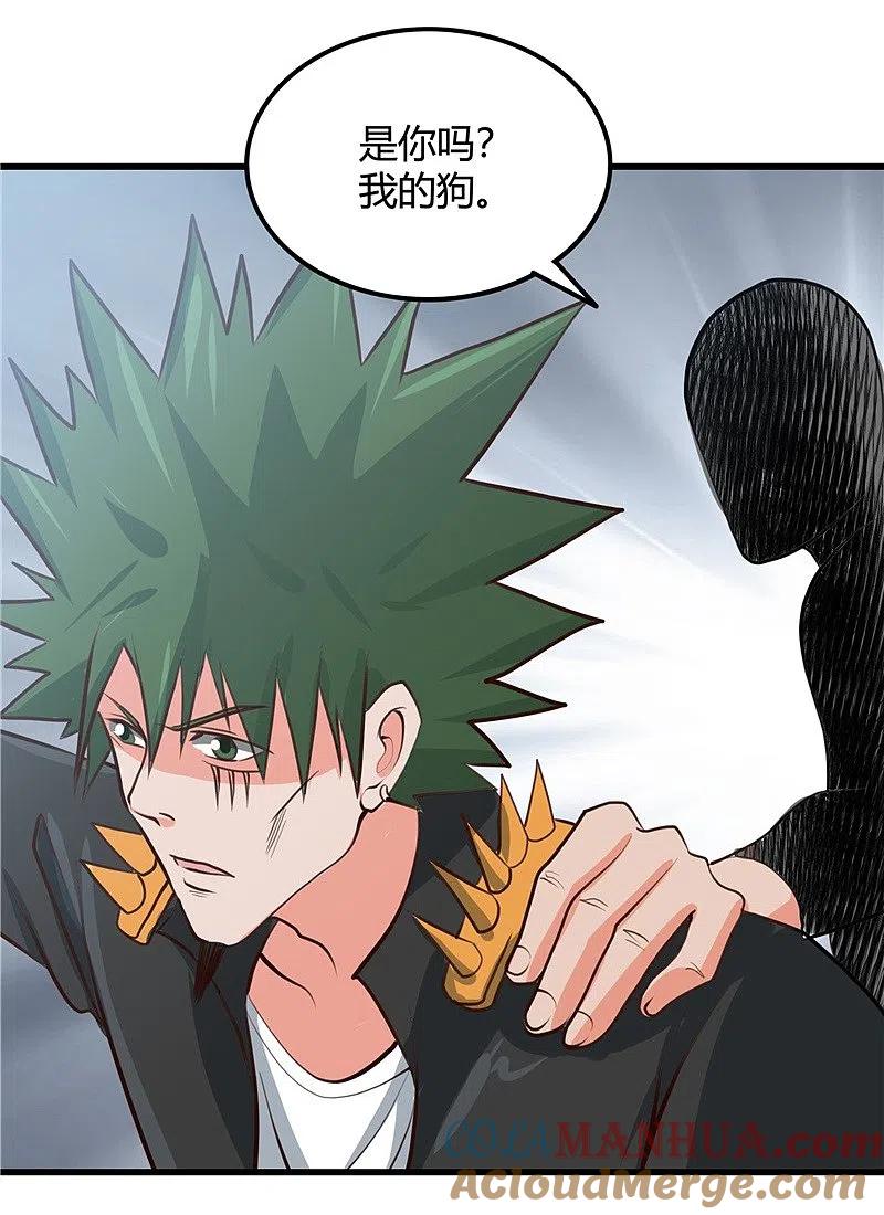 地府我开的 - 第341话 追寻爱犬的疯子 - 第19张图