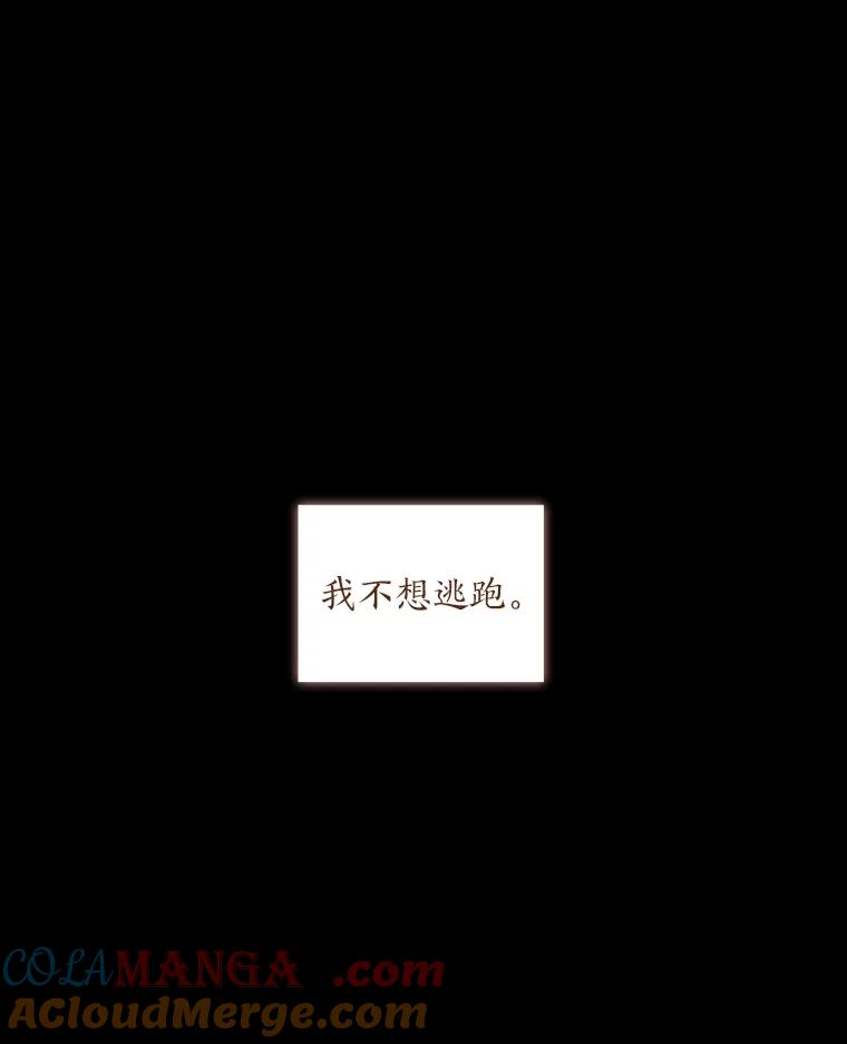 《魅惑狐狸》41.幸福如泡沫 第145页