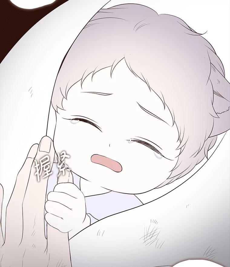《魅惑狐狸》41.幸福如泡沫 第156页