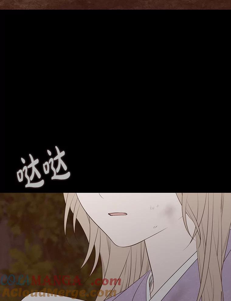 《魅惑狐狸》41.幸福如泡沫 第137页