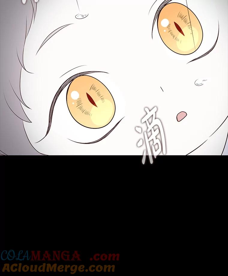 《魅惑狐狸》41.幸福如泡沫 第165页