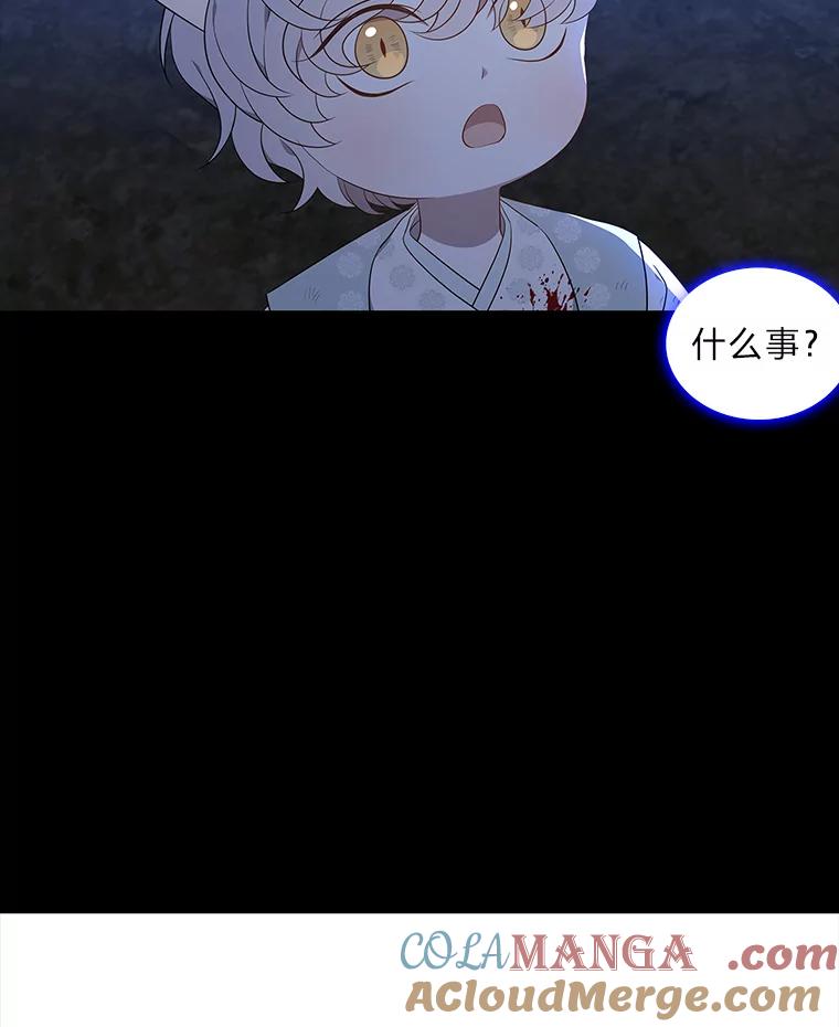 《魅惑狐狸》42.唯一的家人 第37页