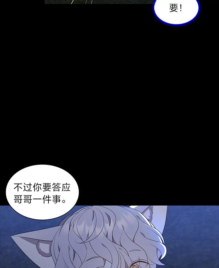 《魅惑狐狸》42.唯一的家人 第36页
