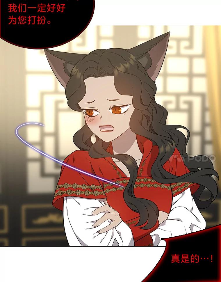 《魅惑狐狸》42.唯一的家人 第108页