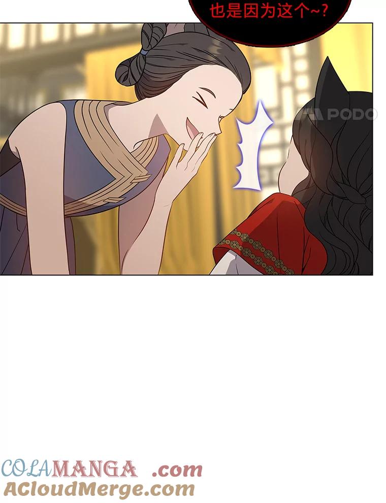 《魅惑狐狸》42.唯一的家人 第105页