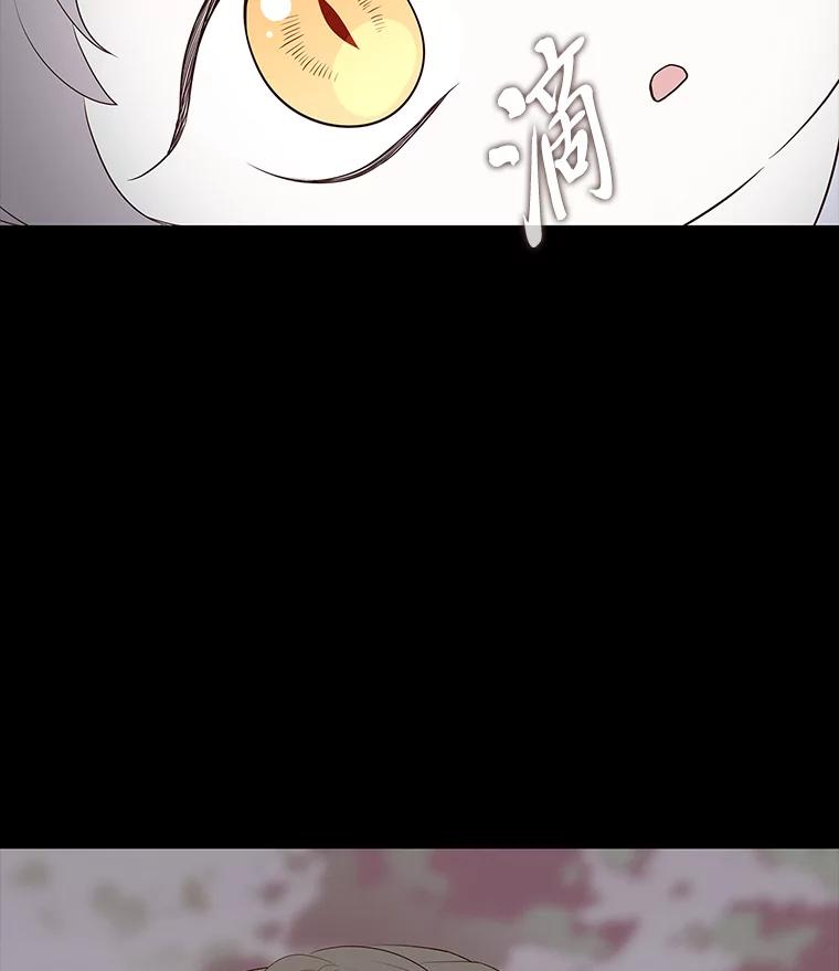 《魅惑狐狸》42.唯一的家人 第2页