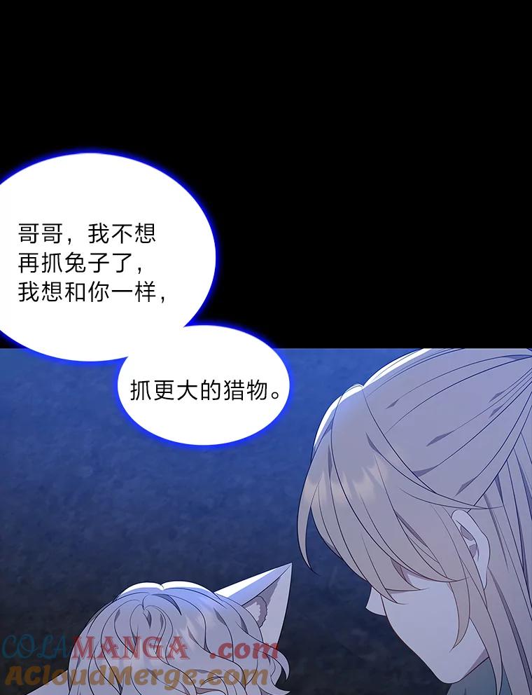 《魅惑狐狸》42.唯一的家人 第29页