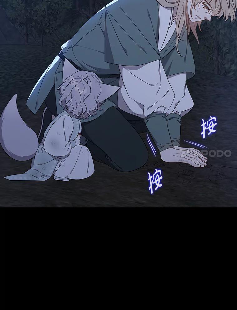 《魅惑狐狸》42.唯一的家人 第28页