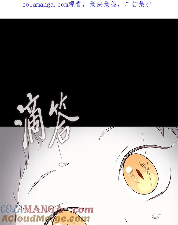 《魅惑狐狸》42.唯一的家人 第1页