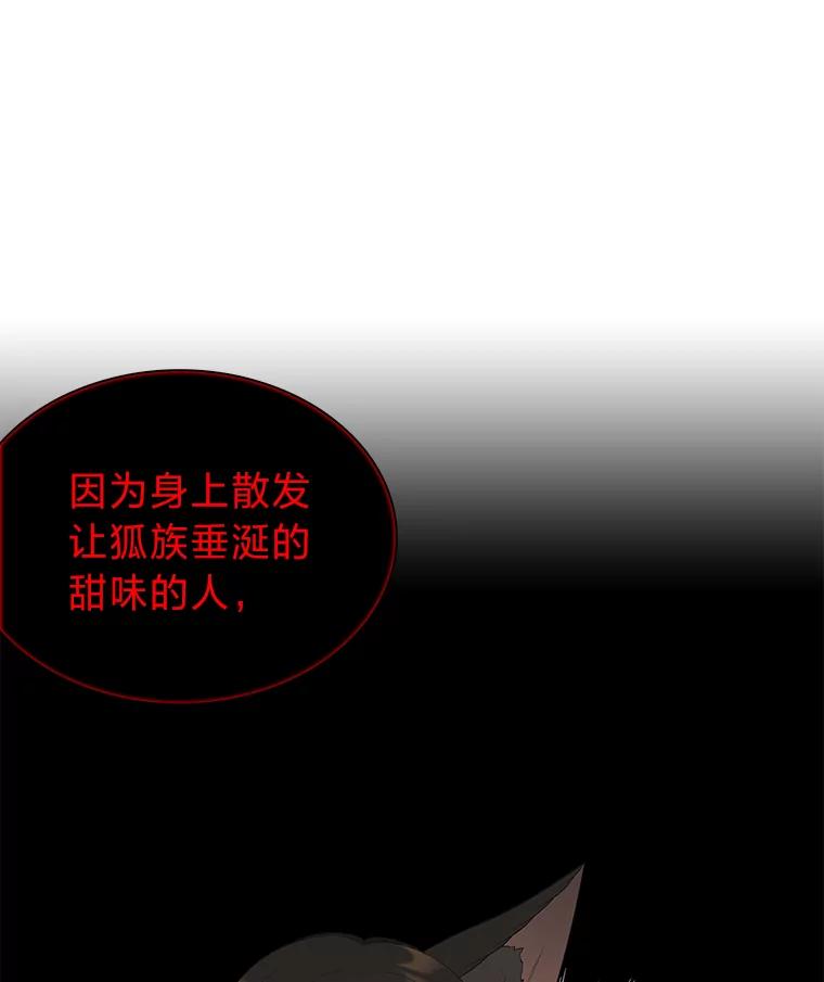 《魅惑狐狸》43.矛盾之初 第134页