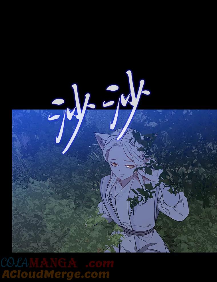 《魅惑狐狸》44.偷下山的小狐狸 第65页