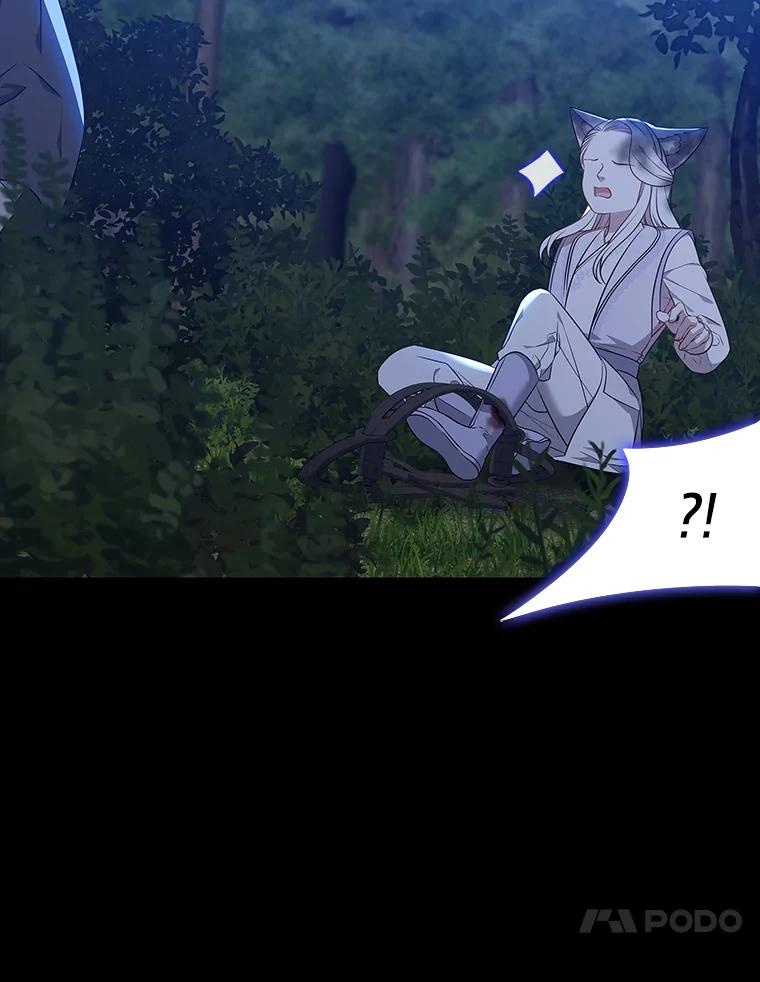 《魅惑狐狸》44.偷下山的小狐狸 第79页