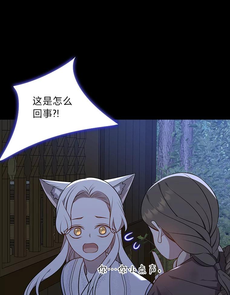 《魅惑狐狸》44.偷下山的小狐狸 第111页