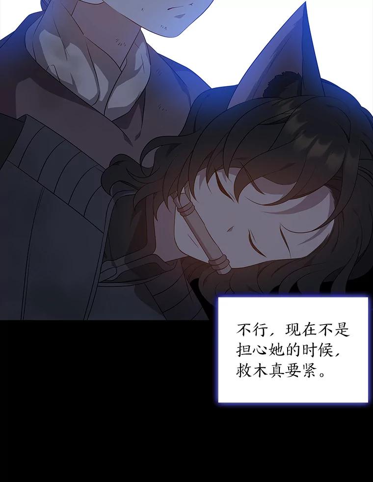 《魅惑狐狸》44.偷下山的小狐狸 第135页