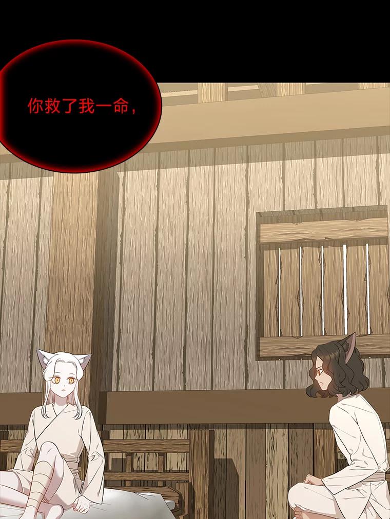 《魅惑狐狸》45.反击之时 第23页