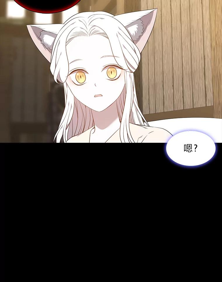 《魅惑狐狸》45.反击之时 第22页