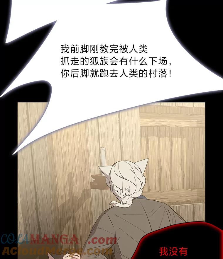 《魅惑狐狸》45.反击之时 第5页