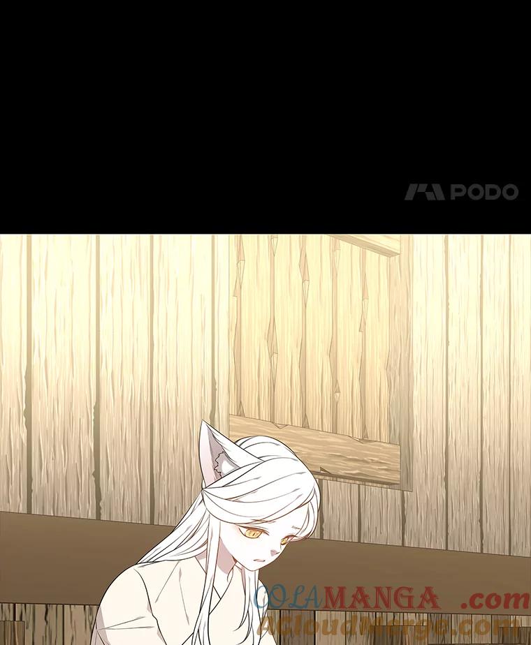 《魅惑狐狸》45.反击之时 第65页