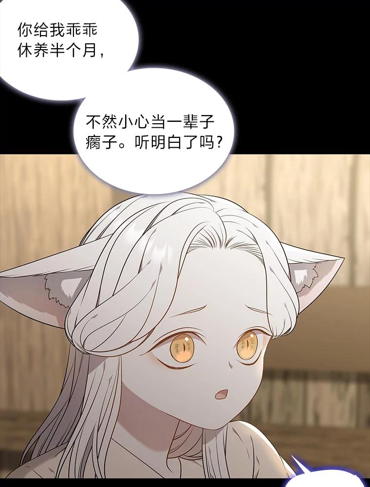 《魅惑狐狸》45.反击之时 第12页