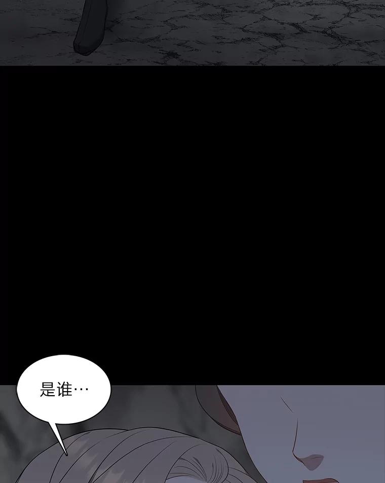 《魅惑狐狸》45.反击之时 第128页
