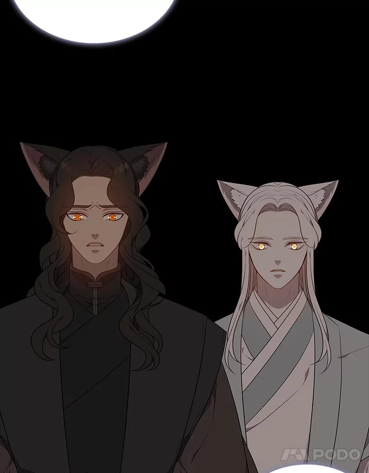 《魅惑狐狸》45.反击之时 第78页
