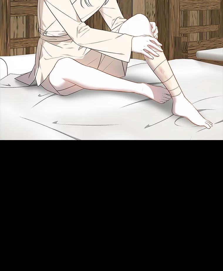 《魅惑狐狸》45.反击之时 第66页