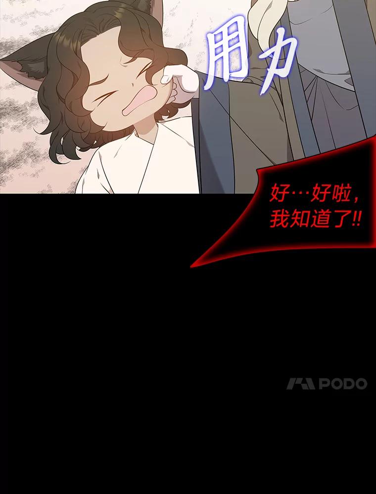 《魅惑狐狸》45.反击之时 第14页