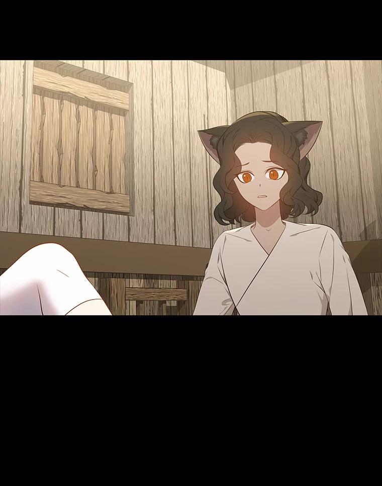 《魅惑狐狸》45.反击之时 第67页