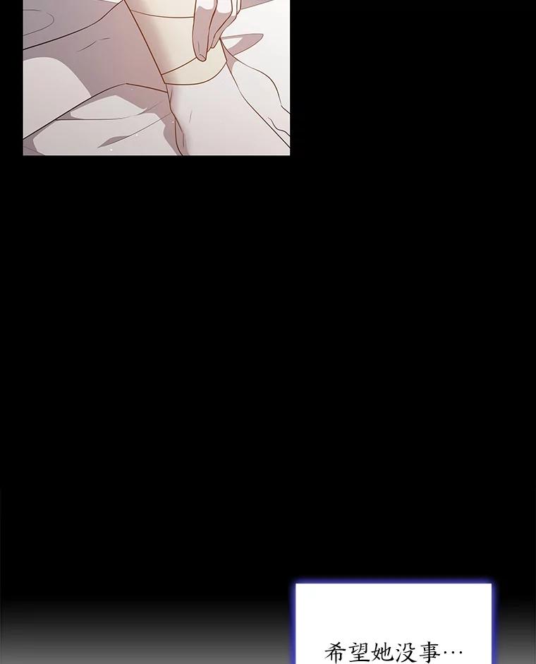 《魅惑狐狸》45.反击之时 第42页