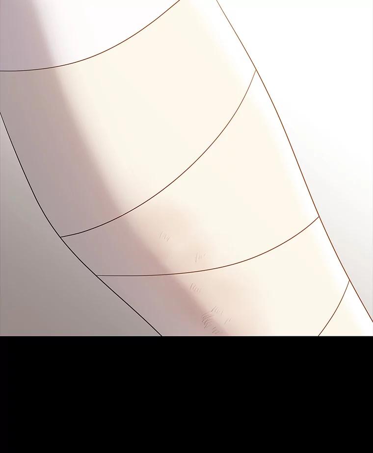 《魅惑狐狸》45.反击之时 第64页