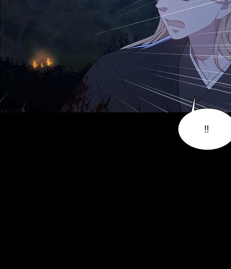 《魅惑狐狸》45.反击之时 第118页