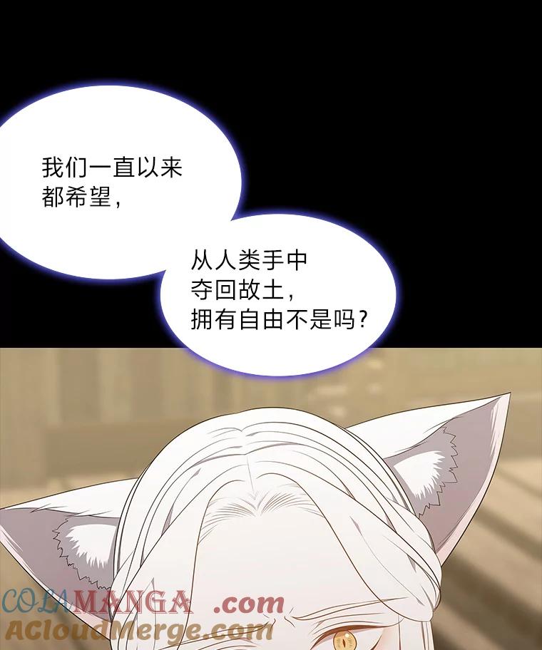 《魅惑狐狸》45.反击之时 第101页