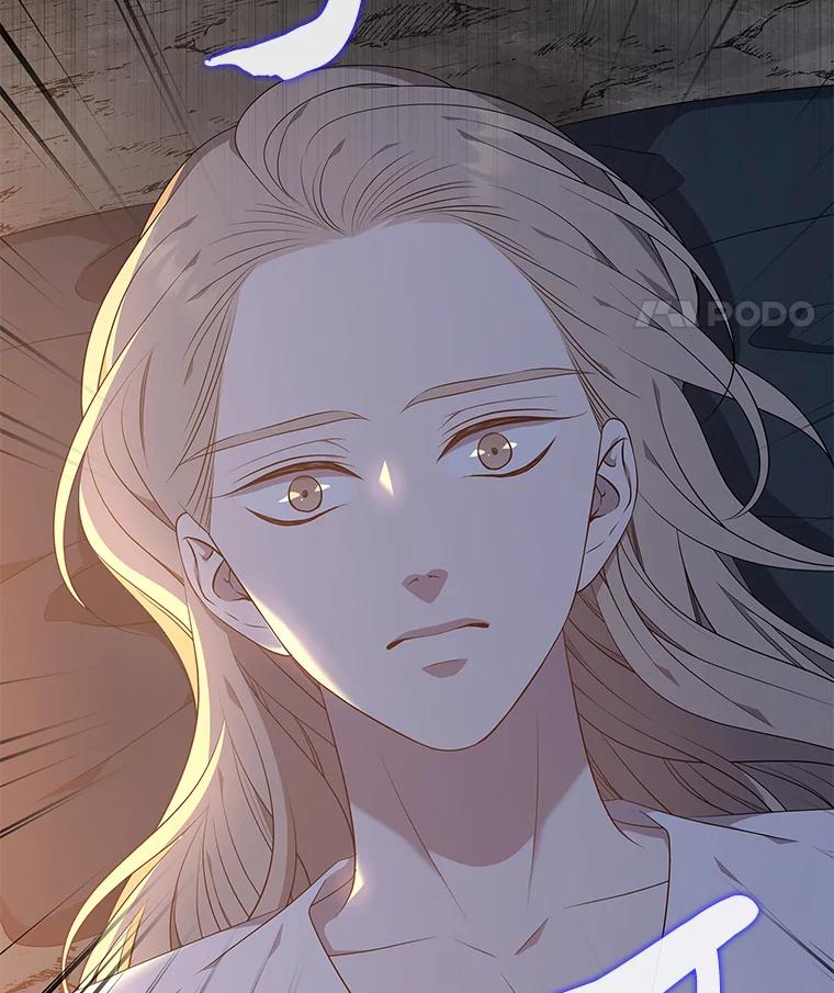 《魅惑狐狸》46.韬光养晦 第19页